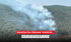 Manisa'da orman yangını... Ekipler seferber oldu !