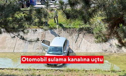Otomobil sulama kanalına uçtu