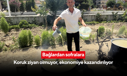 Bağ bozumunda yeni dönem! Koruk suyu ekonomiye can katıyor