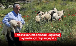 Talas’ta koruma altındaki küçükbaş hayvanlar için duyuru yapıldı