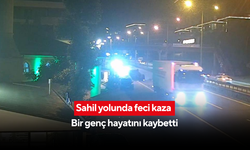 Sahil yolunda kaza üstüne kaza... Karşıdan karşıya geçerken can verdi |  Zincirleme kaza kameraya böyle yansıdı