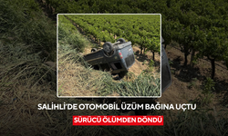 Salihli’de otomobil üzüm bağına uçtu, sürücü ölümden döndü