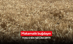 Makarnalık buğdayın tonu 2 bin 760 lira arttı