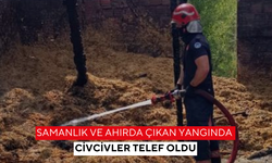 Samanlık ve ahırda çıkan yangında civcivler telef oldu
