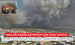 Arıları sakinleştirmek için ateş yakmış ! 700 kişi tahliye edildi, valilikten ‘yüksek risk’ uyarısı geldi