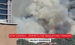 Son dakika... Ahmetli'de başlayan yangın Salihli sınırında