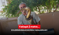 Yaklaşık 2 metre… Evlerinin balkonunda yakaladılar !