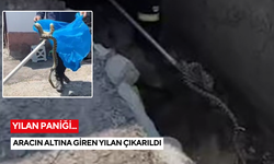Aracın altına giren yılan çıkarıldı