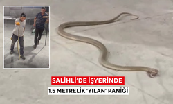 Salihli’de işyerinde 1.5 metrelik ‘yılan’ paniği