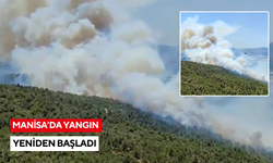 Manisa'da yangın yeniden başladı