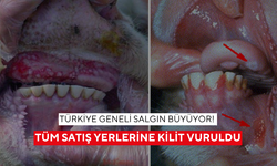 Türkiye geneli salgın büyüyor! Tüm hayvan satış yerlerine kilit vuruldu