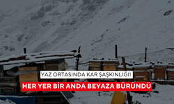Yaz ortasında kar şaşkınlığı! Her yer bir anda beyaza büründü