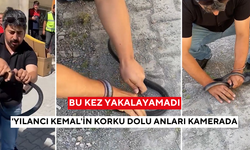 Bir anlık dikkatsizlik… 1 metrelik yılan Yılancı Kemal’i ısırdı