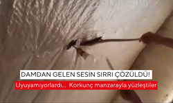 Uyuyamıyorlardı… Damı kesince korkunç manzarayla yüzleştiler