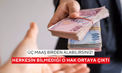 Üç maaş birden alabilirsiniz! Herkesin bilmediği o hak ortaya çıktı