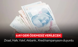6 ay geri ödemesiz verilecek! Ziraat, Halk, Vakıf, Akbank... Kredi kampanyasını duyurdu