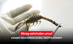 Akrep zehrinden umut: Kanser tedavisinde doğal takviye dönemi