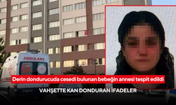 Derin dondurucuda cesedi bulunan bebeğin annesi tespit edildi: Vahşette kan donduran ifadeler