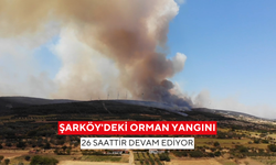 Şarköy'deki orman yangını 26 saattir devam ediyor