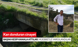 Kan donduran cinayet: Başını kesip kanala attılar, müebbetle yargılandılar