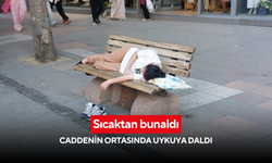 Sıcaktan bunaldı, caddenin ortasında uykuya daldı
