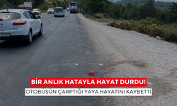 Bir anlık hatayla hayat durdu! Otobüsün çarptığı yaya hayatını kaybetti