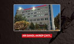Arı sandı akrep çıktı... Evinin önünde akrep soktu