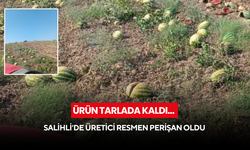 Ürün tarlada kaldı… Salihli’de üretici resmen perişan oldu