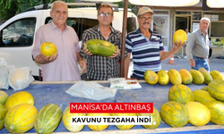 Manisa'da Altınbaş Kavunu tezgaha indi
