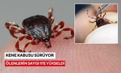 Kabus sürüyor, keneden ölenlerin sayısı 11'e yükseldi