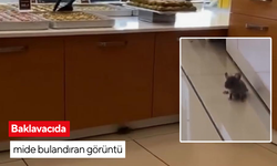 Baklavacıda mide bulandıran görüntü | Sosyal medyada büyük tepkiye neden oldu