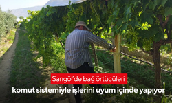Sarıgöl’de bağ örtücüleri komut sistemiyle işlerini uyum içinde yapıyor