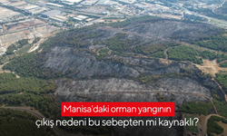 Manisa'daki orman yangının çıkış nedeni bu sebepten mi kaynaklı? | Yangın kontrol altına alındı