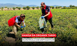 Manisa’da organik tarım kontrolü devam ediyor
