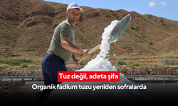 200 yıllık tuzun hikayesi! Fadlum tuzu yiyen bir daha vazgeçemiyor... “Daha önce tuz değil zehir yemişiz”