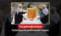 Kazanda kaynadı, bezde kurudu! Pestilin en doğalı nerede yapılır?