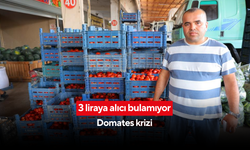 Domates 3 liraya kadar düştü... Salçalık domatese ilgi yok, esnaf dertli... 'Suyu akıp gitti, döktük'