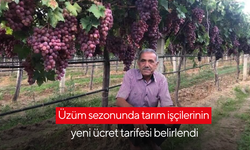 Üzüm sezonunda tarım işçilerinin yeni ücret tarifesi belirlendi