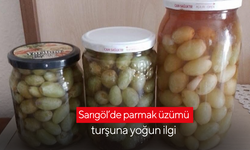 Sarıgöl’de parmak üzümü turşuna yoğun ilgi