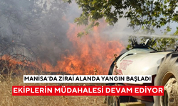Manisa'da zirai alanda yangın başladı