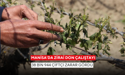Manisa'da 38 bin 944 çiftçi ve 886 bin 194 dekarlık alan zarar gördü