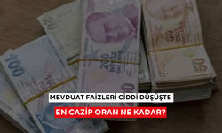 Faizlerde son durum: Mevduat faizleri ciddi düşüşte, en cazip oran ne kadar?