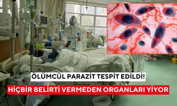Ölümcül parazit tespit edildi! Fark ettirmeden vücuda girip organları yiyor