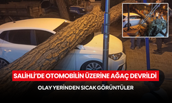 Son dakika… Salihli’de otomobilin üzerine ağaç devrildi ! Olay yerinden sıcak görüntüler