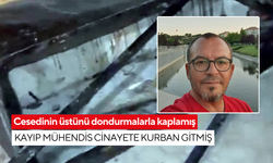 Cesedinin üstünü dondurmalarla kaplamış: Kayıp mühendis cinayete kurban gitmiş