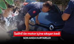Salihli’de motor içine sıkışan kedi son anda kurtarıldı