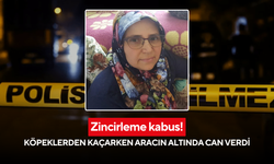 Zincirleme kabus! Köpeklerden kaçarken aracın altında can verdi