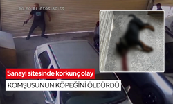 Sanayi sitesinde korkunç olay: Komşusunun köpeğini öldürdü