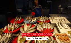 Balıkçılar dört gözle 1 Eylül’ü bekliyor