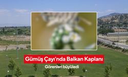 Gümüşçayı'nda Görüntülenen Balkan Kaplanı
